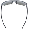 Okulary SPORTSTYLE 805 CV