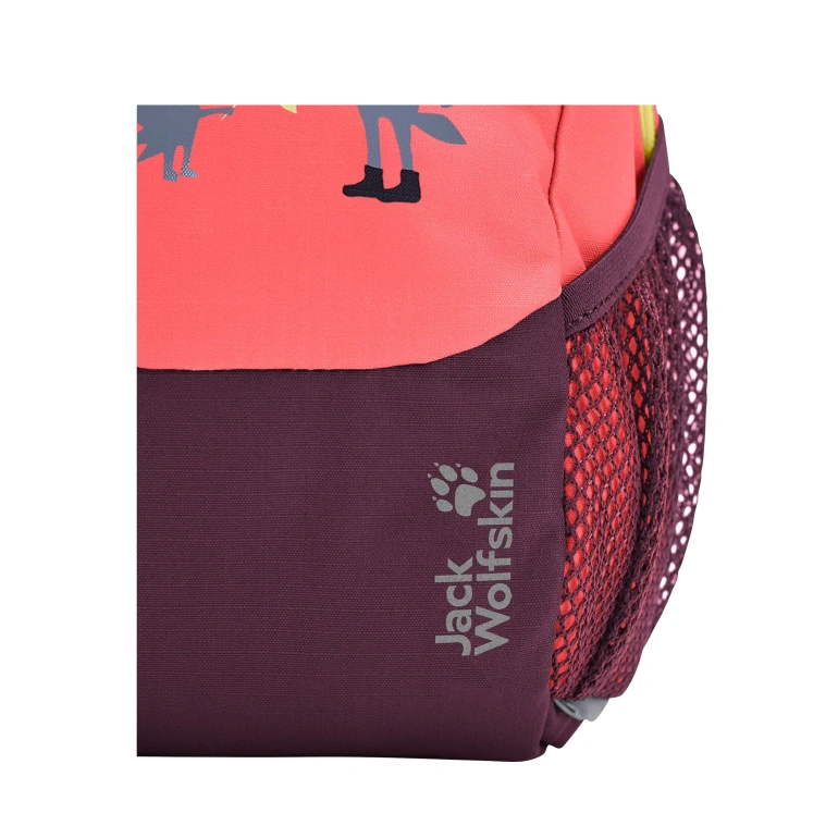 Plecak dziecięcy SPROUT 5