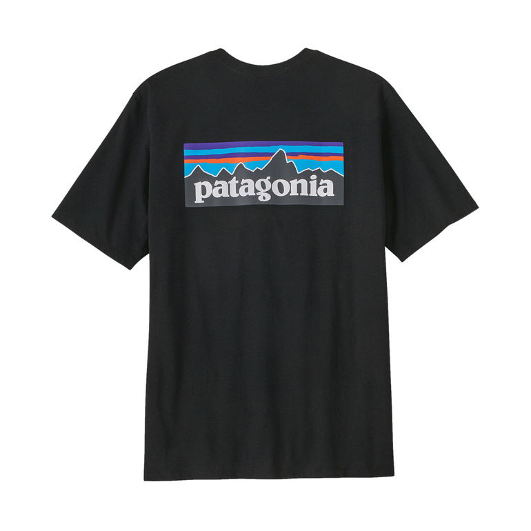 Koszulka P-6 LOGO RESPONSIBILI-TEE T-SHIRT MEN