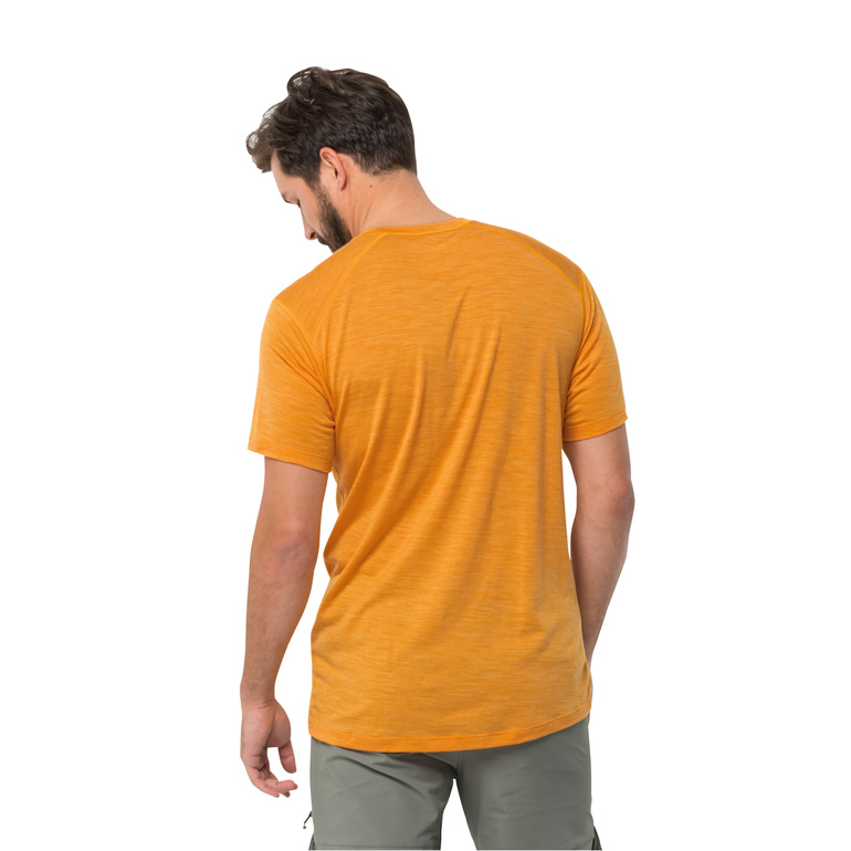 Koszulka z wełną merino KAMMWEG S/S MEN