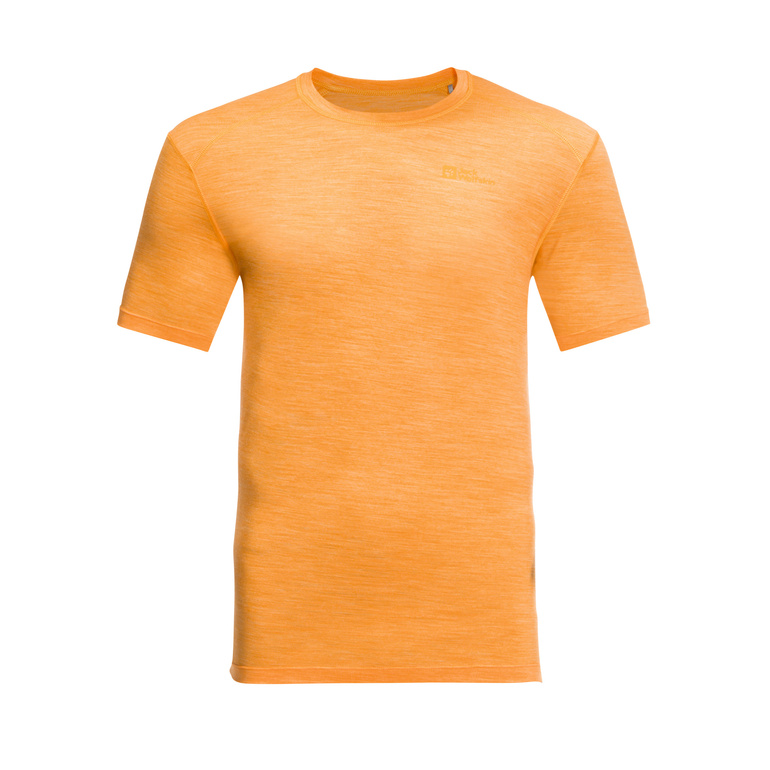 Koszulka z wełną merino KAMMWEG S/S MEN