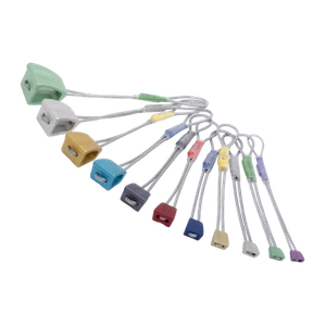 Zestaw kości WALLNUT SET 1-11