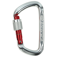Karabinek D-SHAPE SG (SCREW GATE)